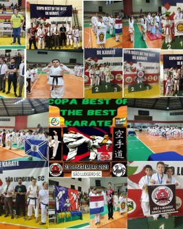 Associação Guerreiros do Sul de Criciúma é campeã geral da 20ª Copa Best Of The Best de Karatê - Foto 17