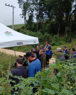 Dia de Campo foi realizado para compartilhar conhecimento sobre o Sistema de Plantio Direto de Hortaliças - Foto 10