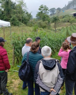 Dia de Campo foi realizado para compartilhar conhecimento sobre o Sistema de Plantio Direto de Hortaliças - Foto 8
