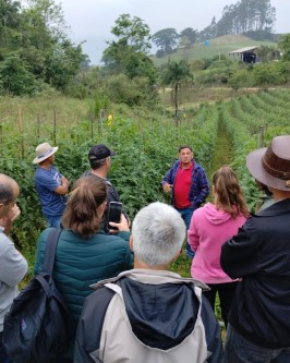Dia de Campo foi realizado para compartilhar conhecimento sobre o Sistema de Plantio Direto de Hortaliças - Foto 9