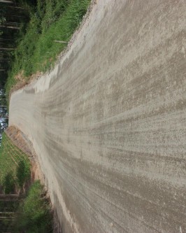 Mais um trecho de pavimentação asfáltica na Estrada Geral da Serrinha - Foto 2