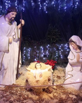 Abertura de Natal em São Ludgero acontece no dia 24 de novembro - Foto 1