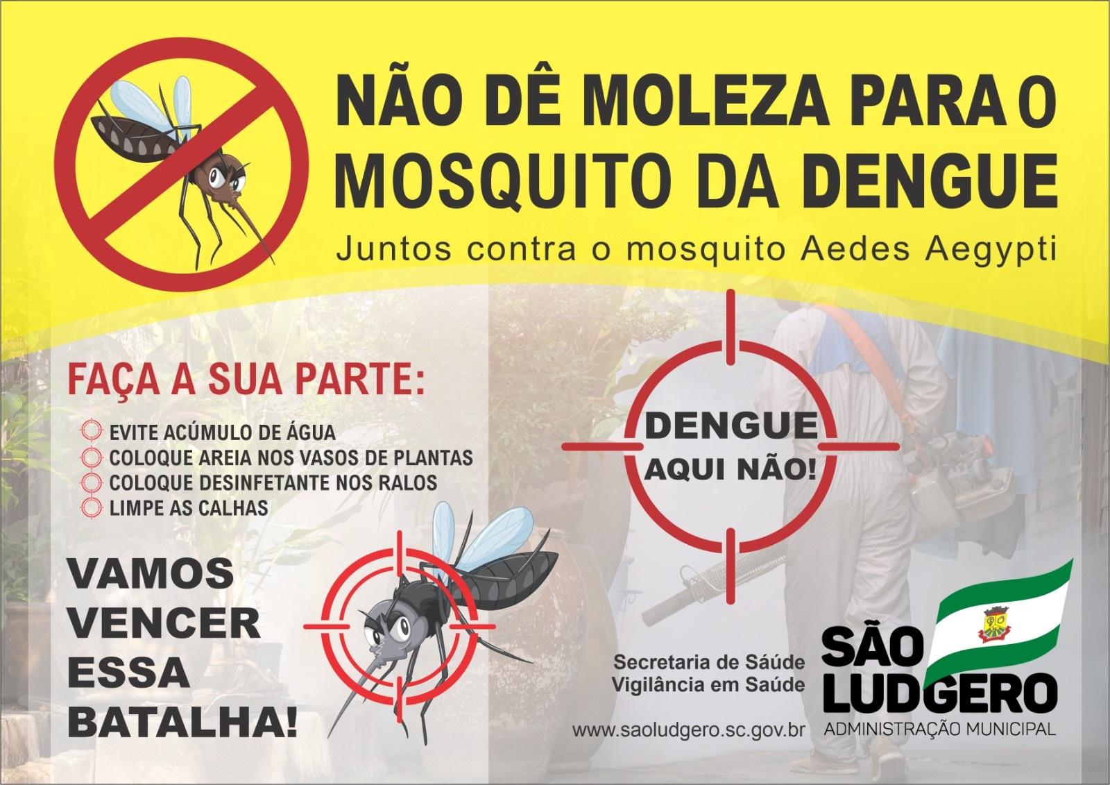 Confirmado primeiro caso de dengue contraído no município de São Ludgero