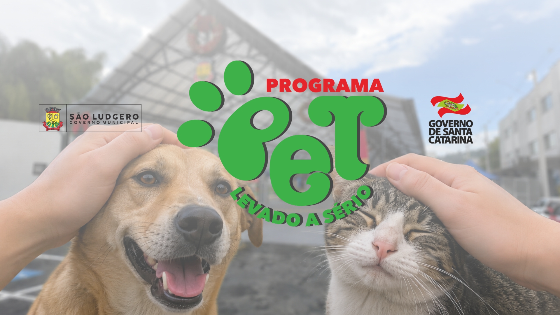 São Ludgero adere ao maior programa de castração do Estado e anuncia primeiro mutirão para cães e gatos