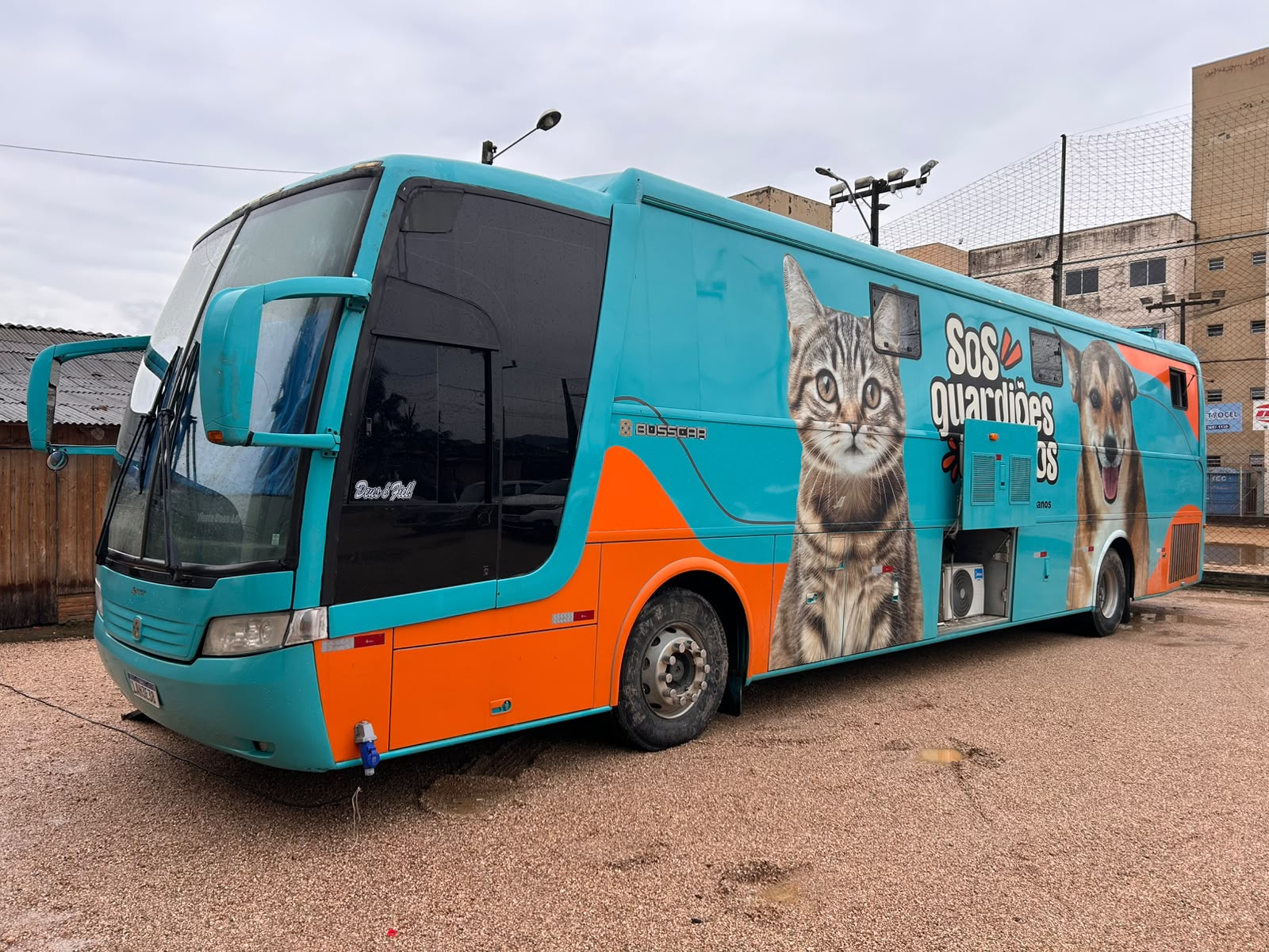 São Ludgero realiza 1ª Fase de castração gratuita de cães e gatos