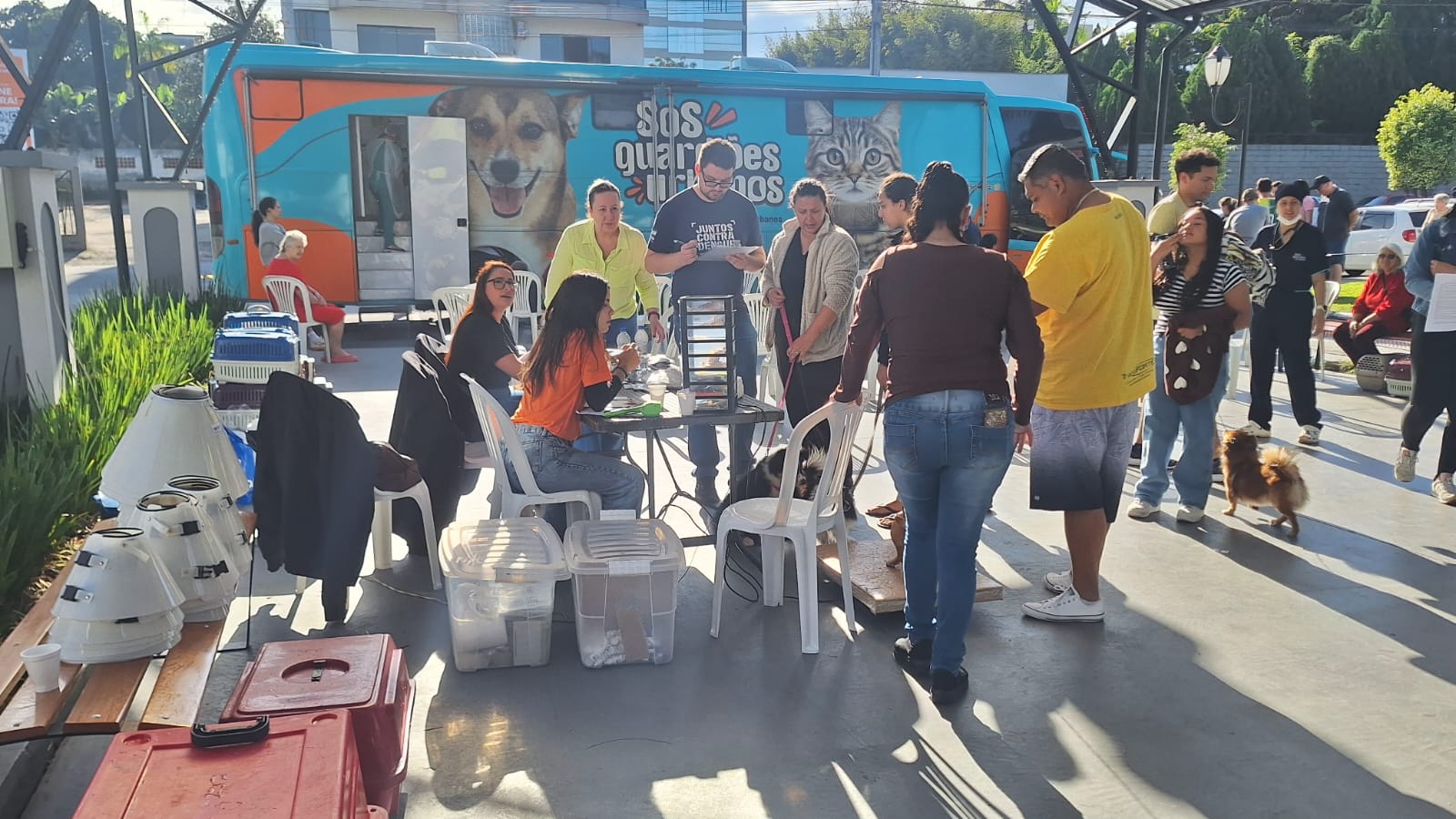 São Ludgero conclui 2ª etapa do maior programa de castração da história do município e atinge a marca de 278 animais atendidos