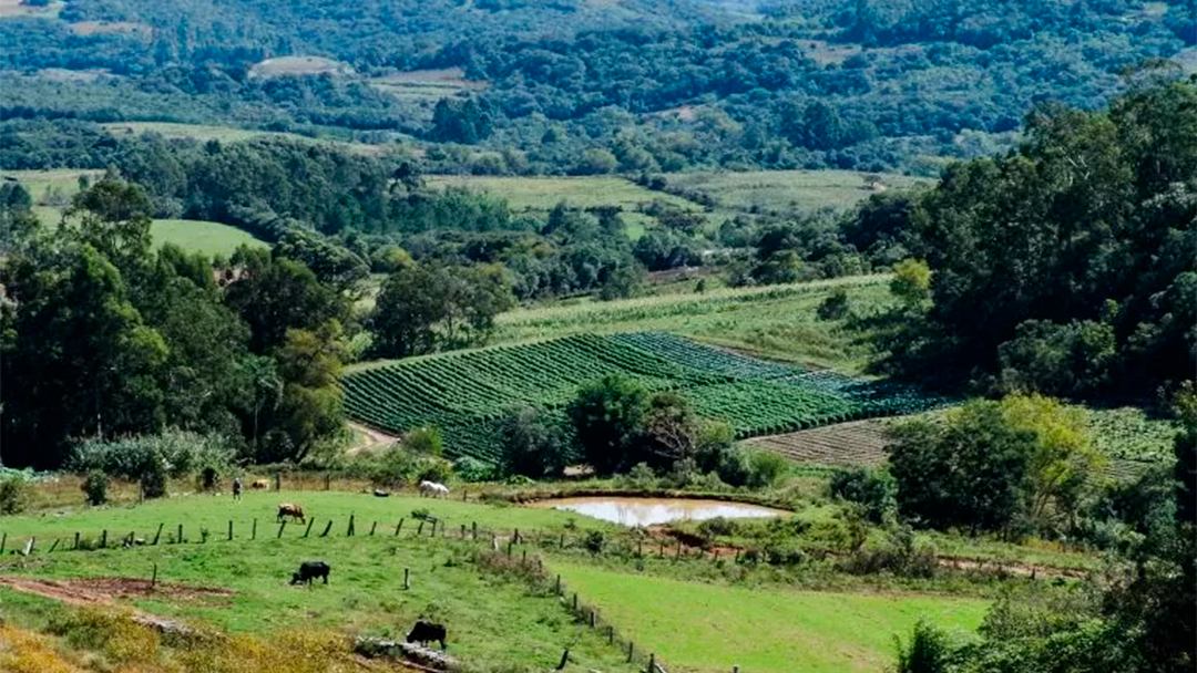 São Ludgero promove palestra para orientar produtores sobre regularização de imóveis pelo Programa Lar Legal Rural